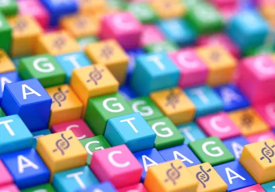 Collection of pink, green, blue, yellow, and green cubes with A, G, T, C, and a double helix printed on them. Collection of pink, green, blue, yellow, and green cubes with A, G, T, C, and a double helix printed on them.